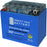 Mighty Max YTX12-BSGEL 12V 10 AH GEL 180 CCA Rechargeable Maintenance Free SLA AGM Battery