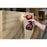 Milwaukee 2761-22 M18 FUEL SURGE 18V 1/4" Cordless Hex Hydraulic Driver Kit