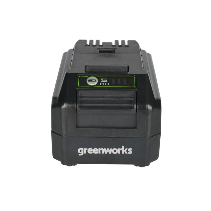 Greenworks 2949602AZ 24V 5.0AH USB Battery