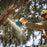 Makita XCU08Z 18V X2 (36) 14 Inch Cordless Top Handle Chainsaw - Bare Tool